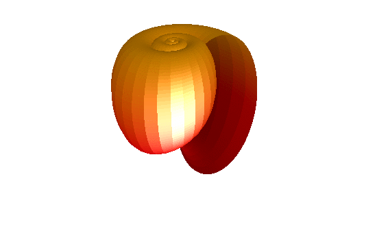 Mollusc Shell